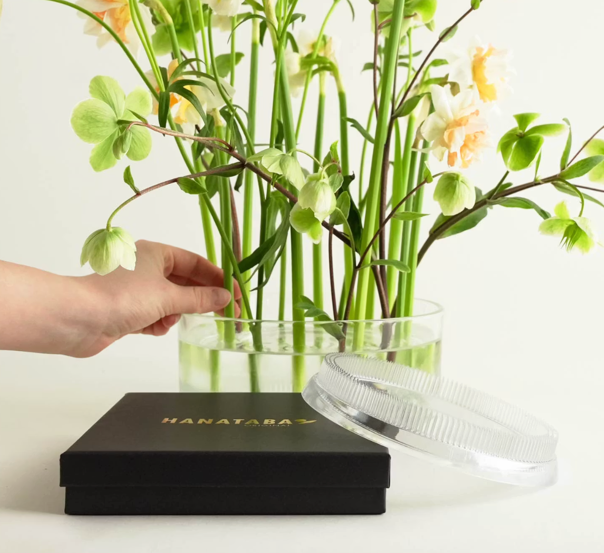 Kenzan Blomsterfakir - 150 mm Akryl